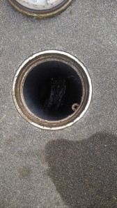 1579841774122
