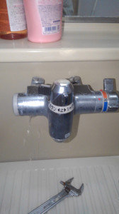 KIMG1301