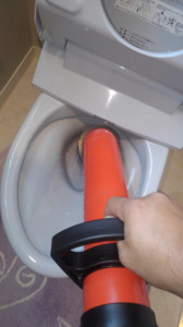 KIMG1375